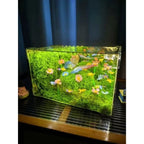 Butterfly Fairy Light Kit