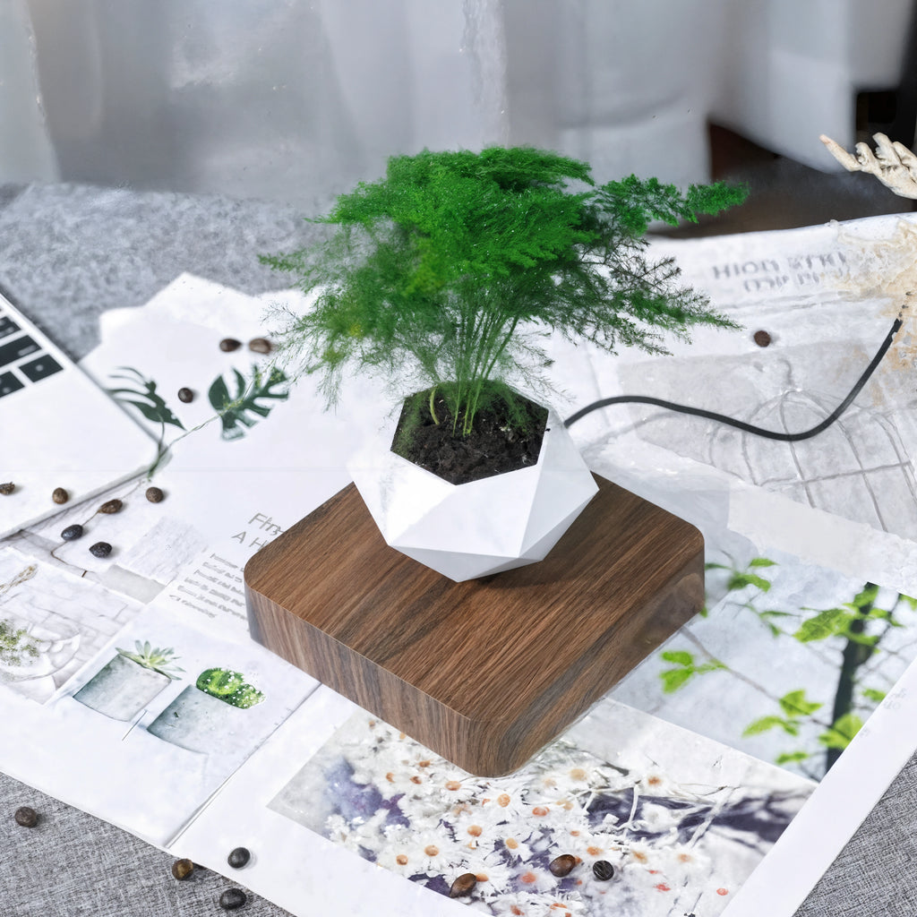 🌱Levitating Magnetic Plant Pot – Floating Mini Bonsai Display