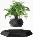 🌱Levitating Magnetic Plant Pot – Floating Mini Bonsai Display
