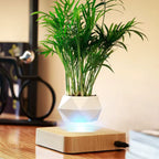 🌱Levitating Magnetic Plant Pot – Floating Mini Bonsai Display