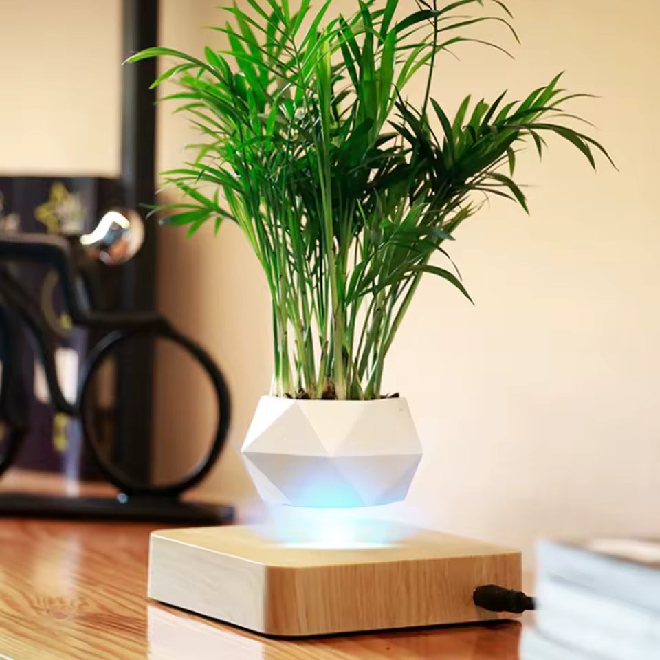 🌱Levitating Magnetic Plant Pot – Floating Mini Bonsai Display