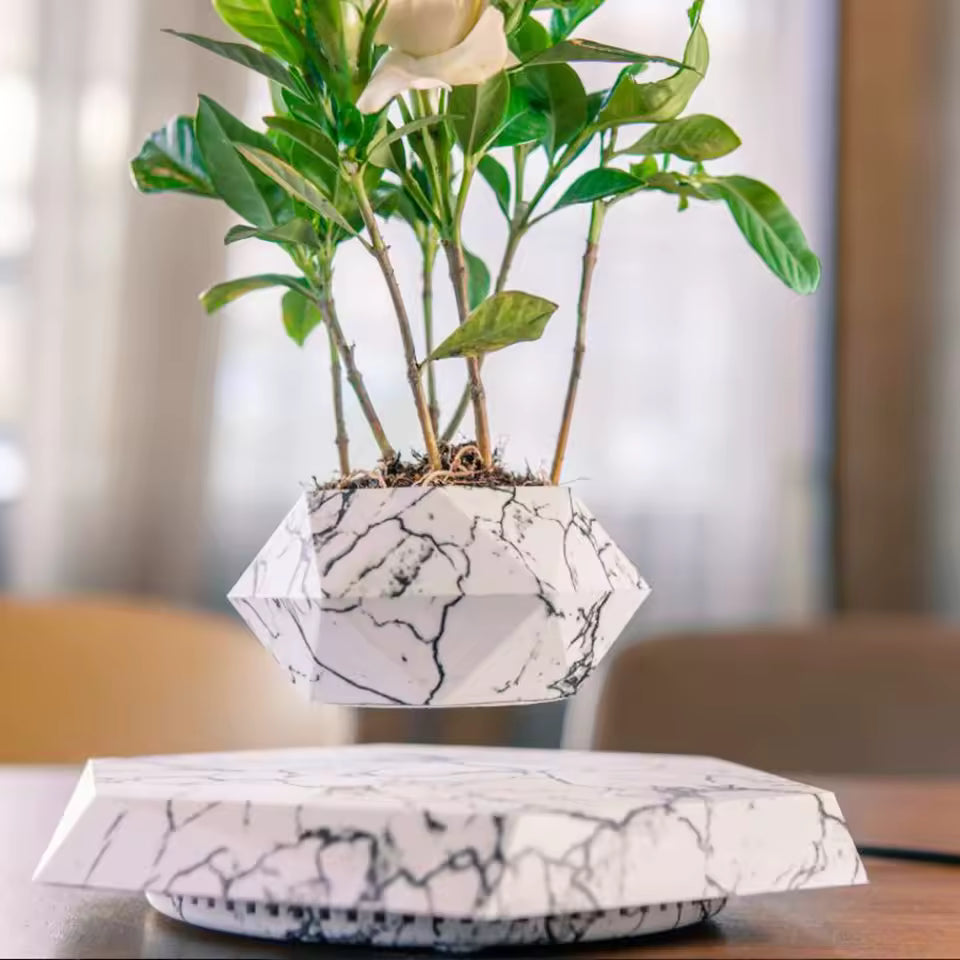 🌱Levitating Magnetic Plant Pot – Floating Mini Bonsai Display