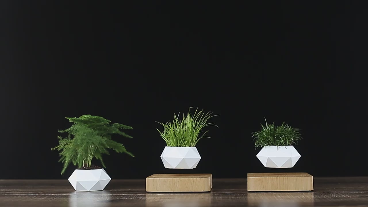 🌱Levitating Magnetic Plant Pot – Floating Mini Bonsai Display